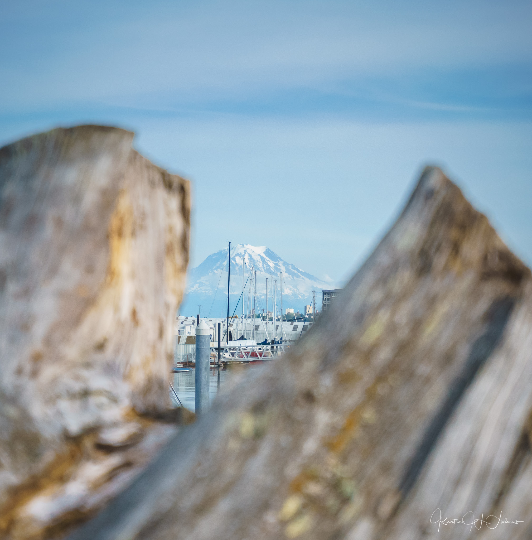Mount Rainier from Point Defiance Marina