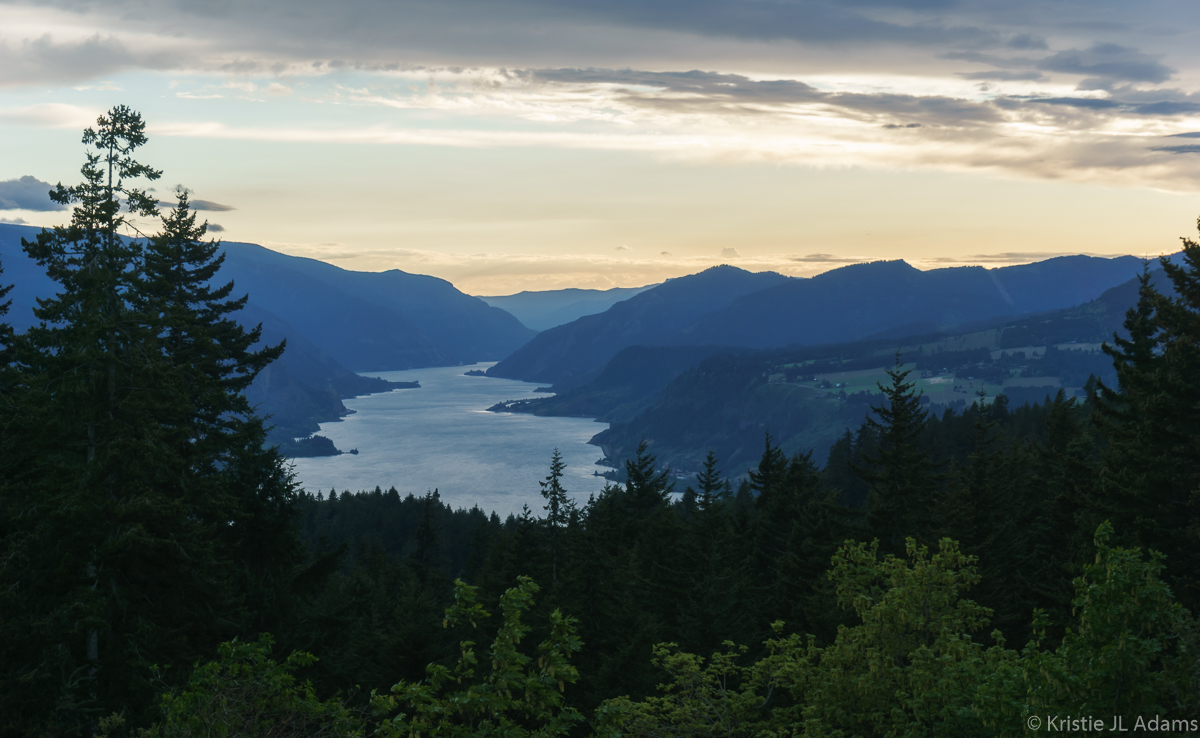 Looking Down the Columbia River Gorge