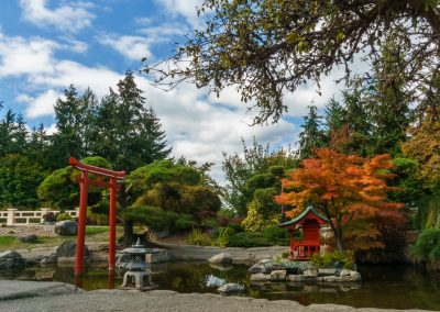 Japanese Garden at Point Defiance Park 2016