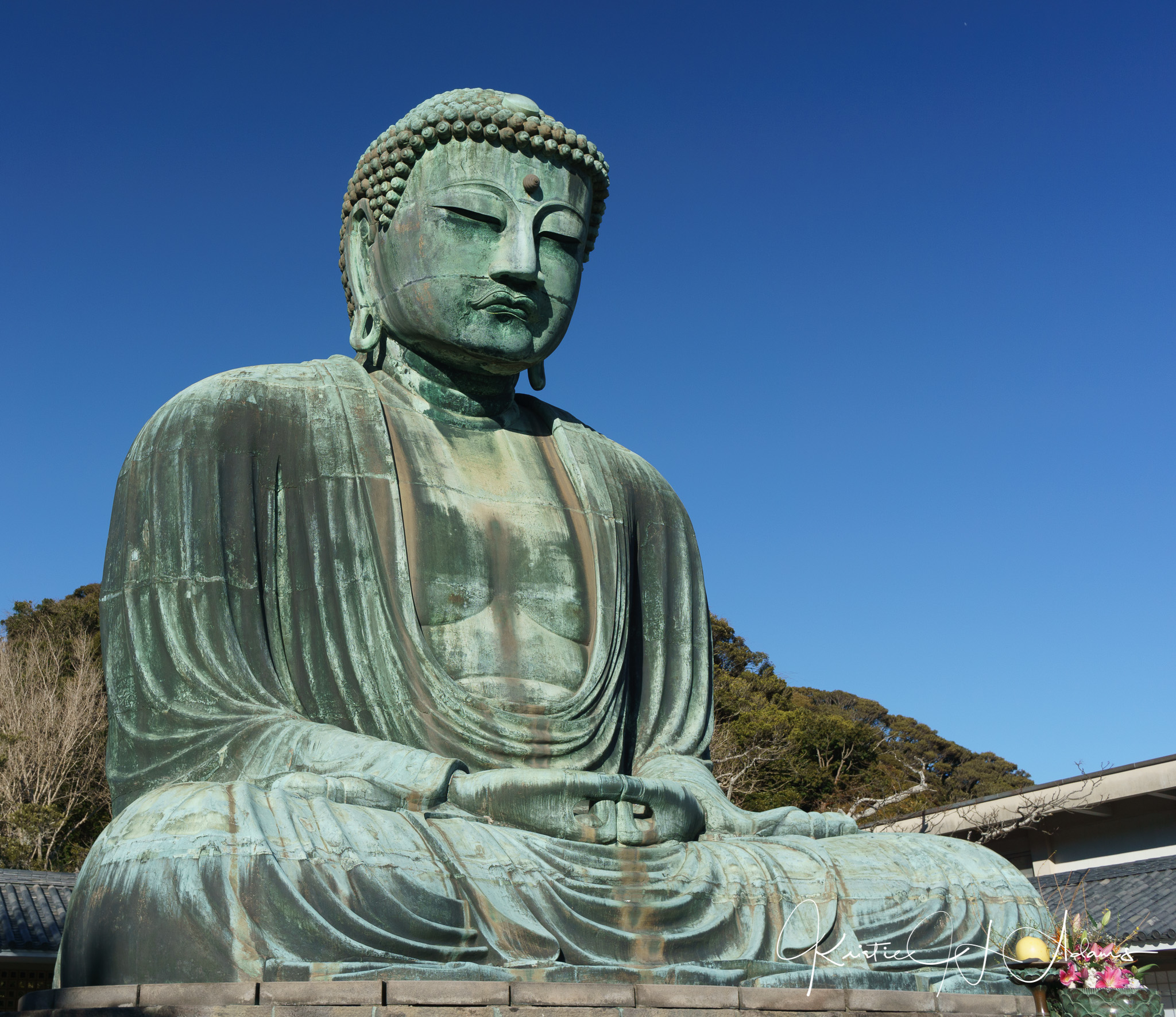 Big Buddha of Kamakura (Kōtoku-in)