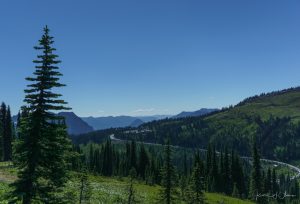 From the Skyline Trail, Mount Rainier National Park