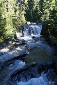 From Lake Trail, Mount Rainier National Park